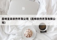 昆明呈贡软件开发公司（昆明软件开发有限公司）