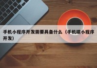 手机小程序开发需要具备什么（手机端小程序开发）