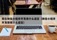 现在微信小程序开发用什么语言（微信小程序开发使用什么语言）