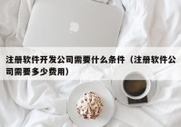 注册软件开发公司需要什么条件（注册软件公司需要多少费用）