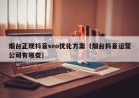 烟台正规抖音seo优化方案（烟台抖音运营公司有哪些）