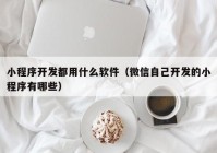 小程序开发都用什么软件（微信自己开发的小程序有哪些）