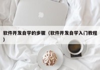 软件开发自学的步骤（软件开发自学入门教程）