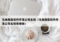 马来西亚软件开发公司名称（马来西亚软件开发公司名称有哪些）