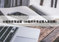 小程序开发运营（小程序开发运营人员招聘）