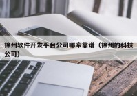 徐州软件开发平台公司哪家靠谱（徐州的科技公司）