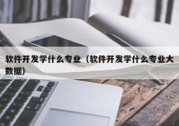 软件开发学什么专业（软件开发学什么专业大数据）