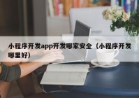 小程序开发app开发哪家安全（小程序开发哪里好）