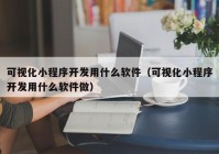 可视化小程序开发用什么软件（可视化小程序开发用什么软件做）