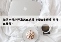 微信小程序开发怎么选择（微信小程序 用什么开发）