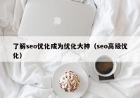 了解seo优化成为优化大神（seo高级优化）