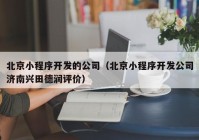 北京小程序开发的公司（北京小程序开发公司济南兴田德润评价）