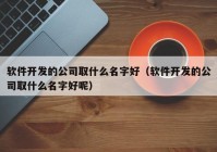 软件开发的公司取什么名字好（软件开发的公司取什么名字好呢）