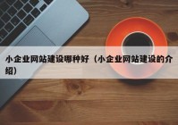 小企业网站建设哪种好（小企业网站建设的介绍）